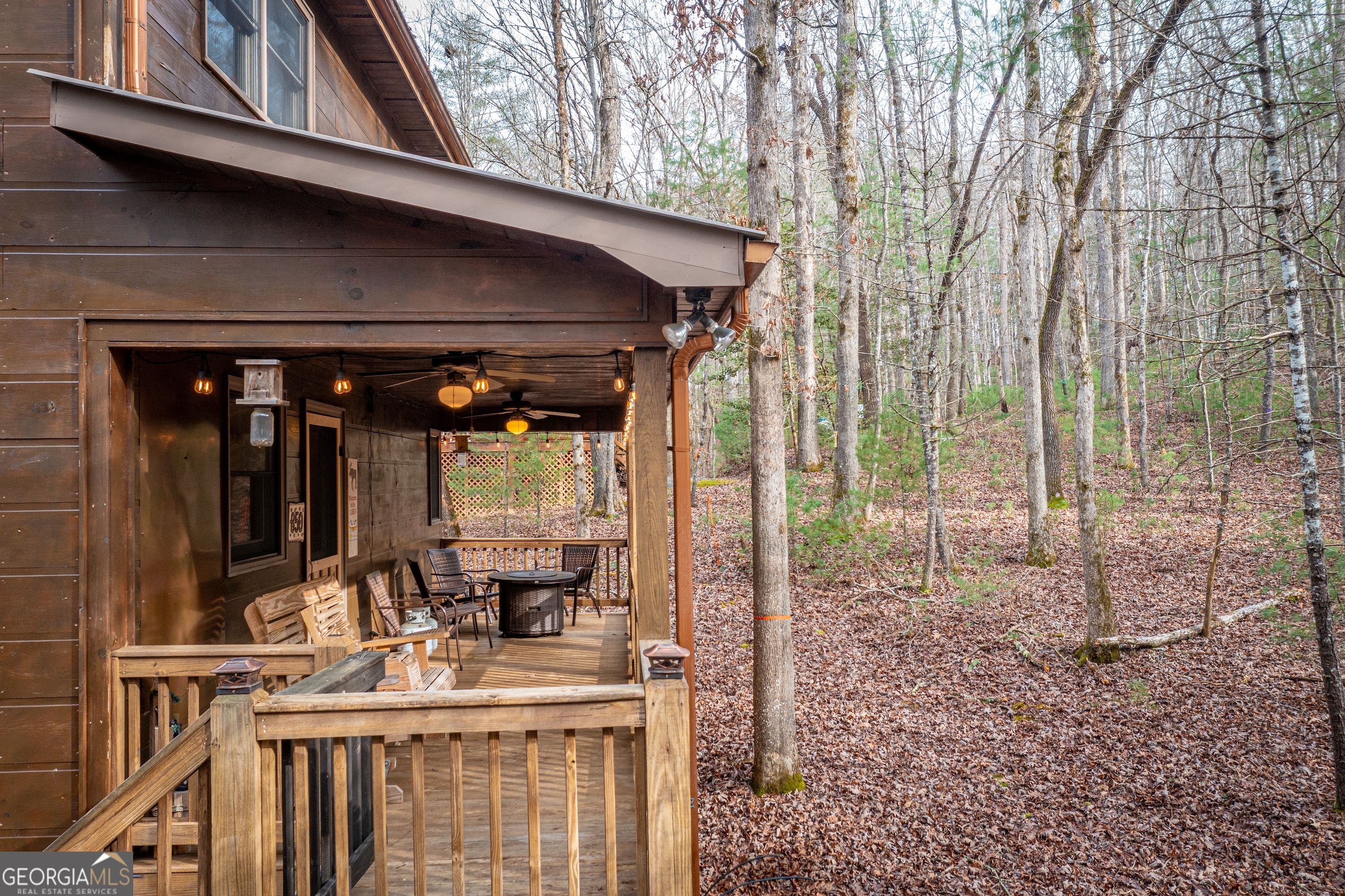850 Mountain Lake Circle Blue Ridge GA 30513