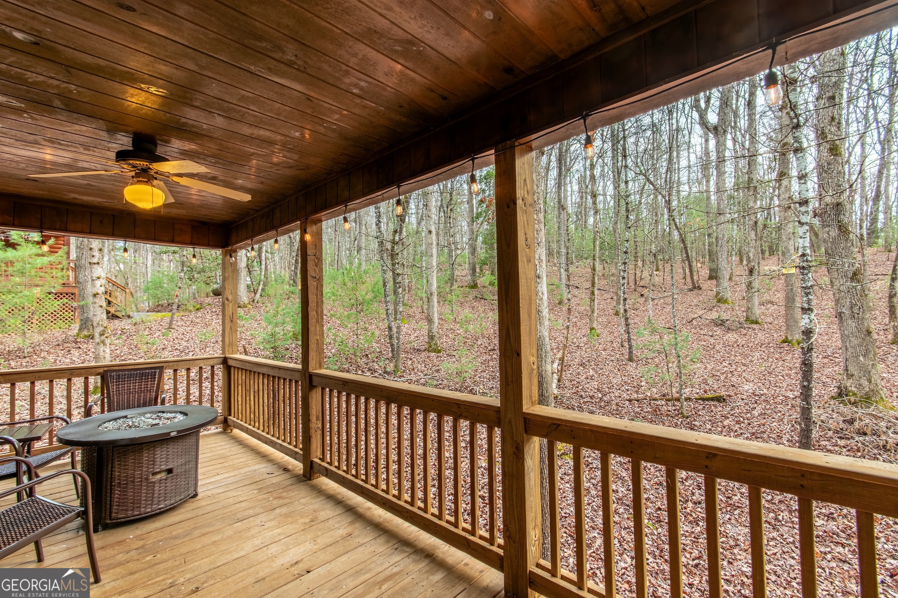 850 Mountain Lake Circle Blue Ridge GA 30513