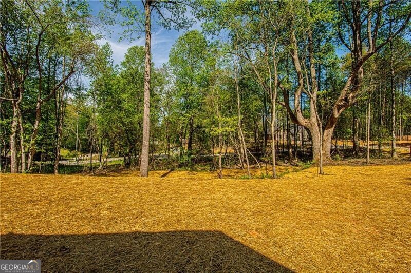 20 Eloise Way Dawsonville GA 30534