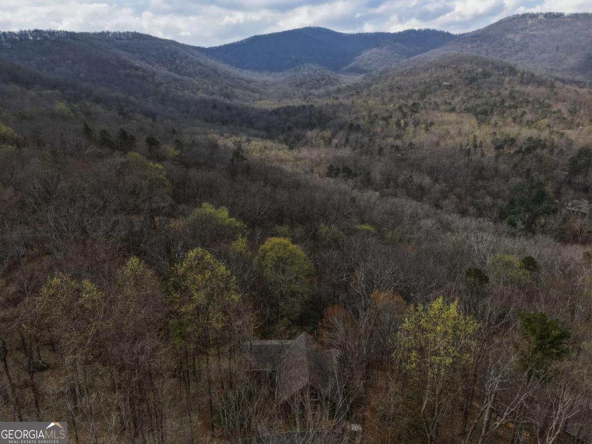 115 Chestnut Oak Point Big Canoe GA 30143