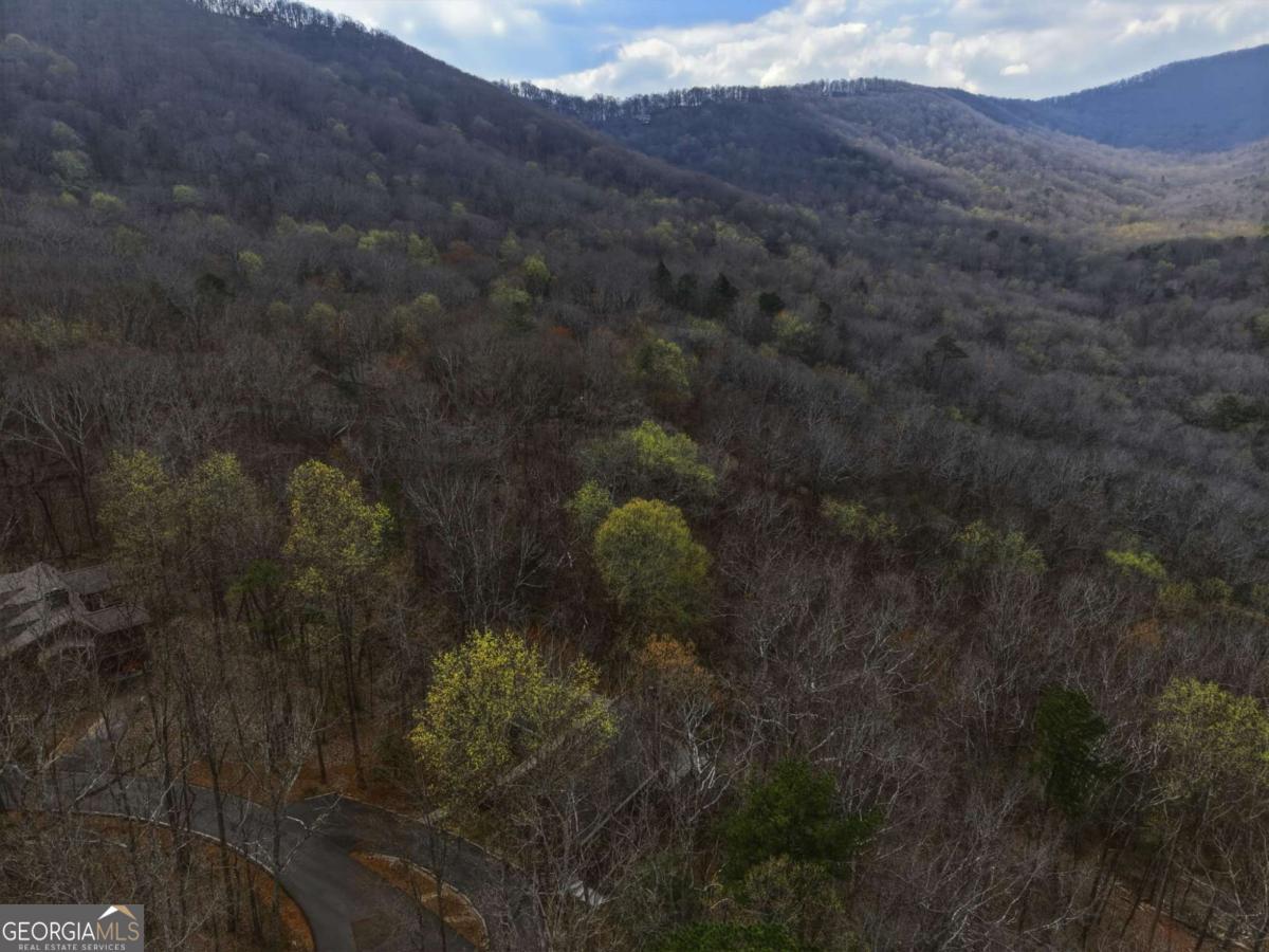 115 Chestnut Oak Point Big Canoe GA 30143