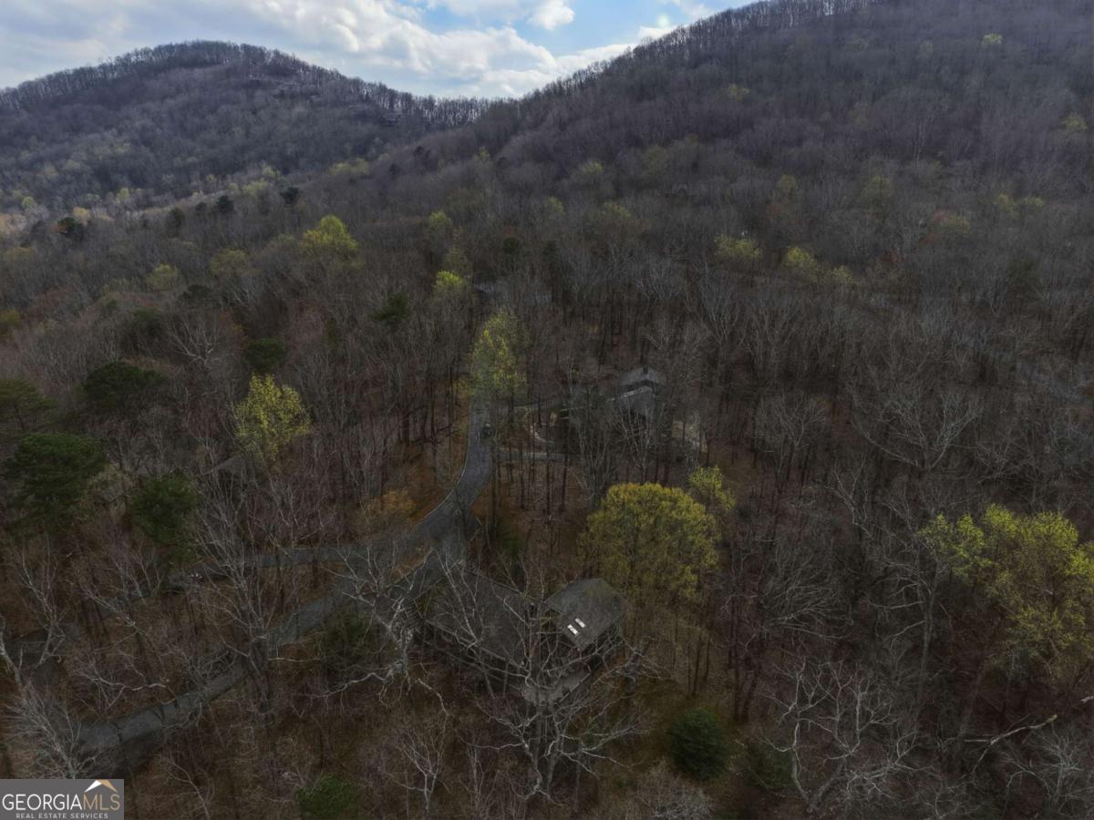 115 Chestnut Oak Point Big Canoe GA 30143