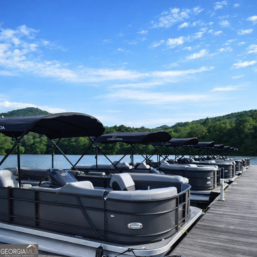 115 Chestnut Oak Point Big Canoe GA 30143