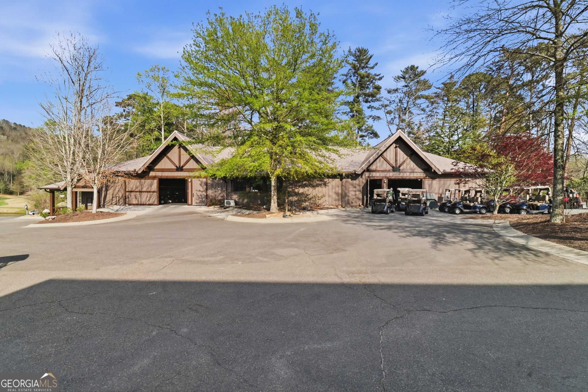 115 Chestnut Oak Point Big Canoe GA 30143