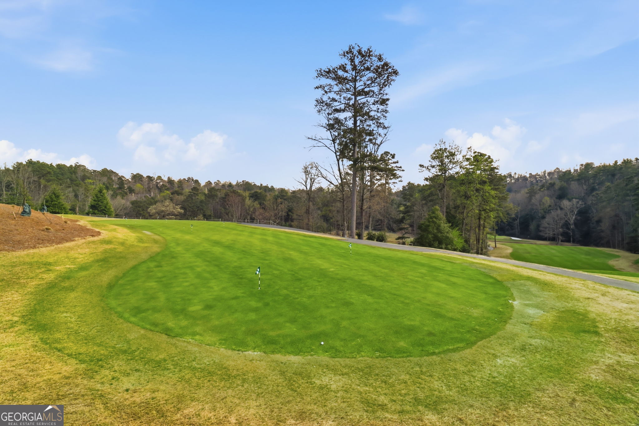 115 Chestnut Oak Point Big Canoe GA 30143