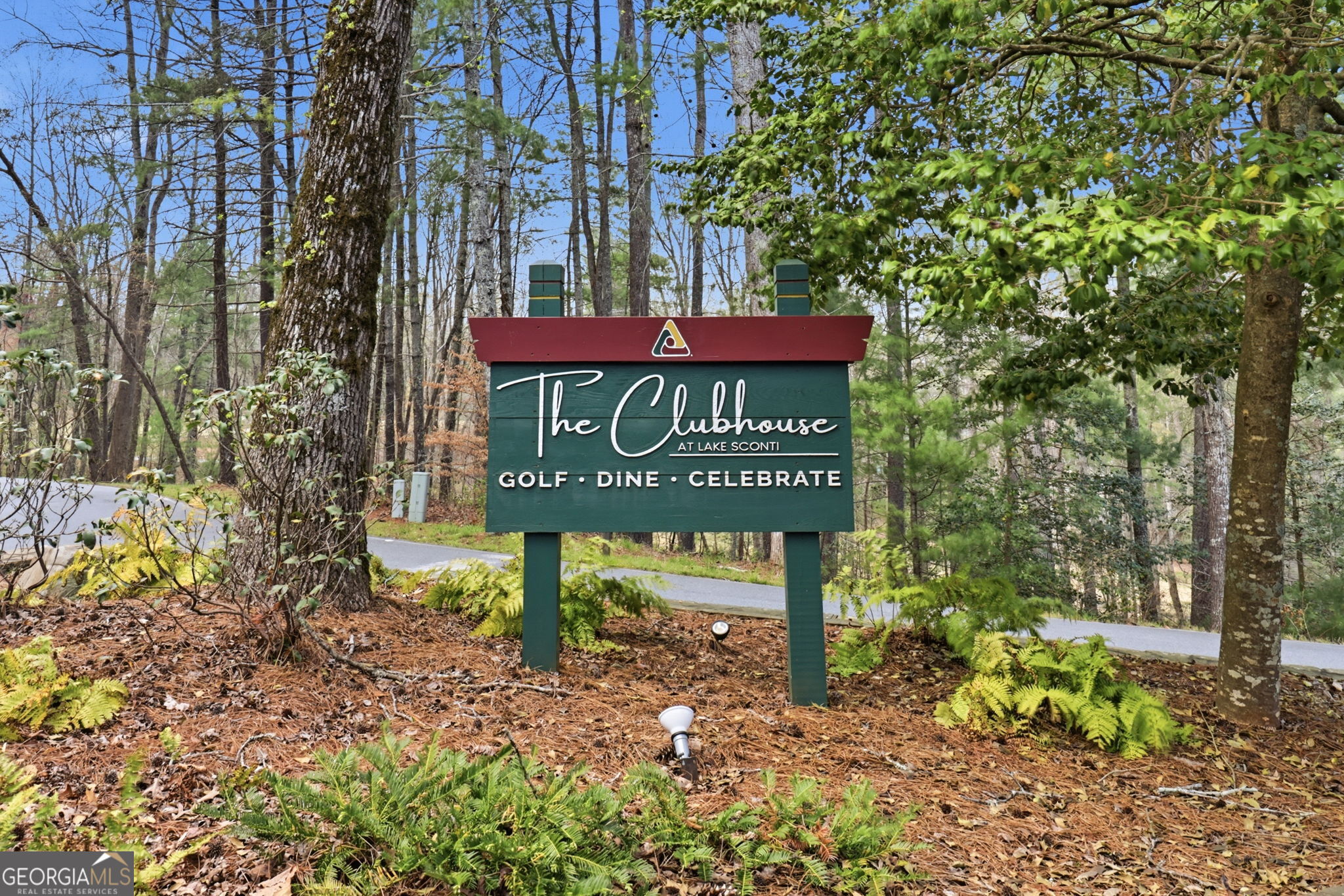 115 Chestnut Oak Point Big Canoe GA 30143