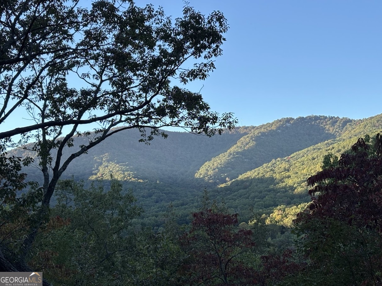 115 Chestnut Oak Point Big Canoe GA 30143