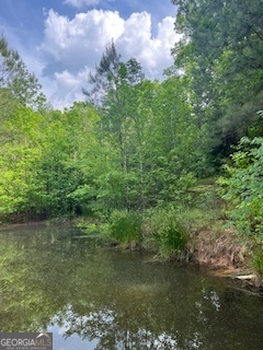 376 Paoli Road Carlton GA 30627