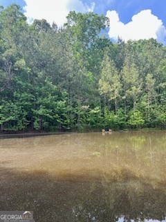 376 Paoli Road Carlton GA 30627