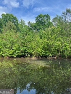 376 Paoli Road Carlton GA 30627