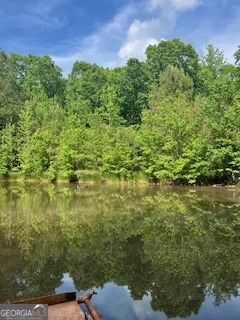376 Paoli Road Carlton GA 30627