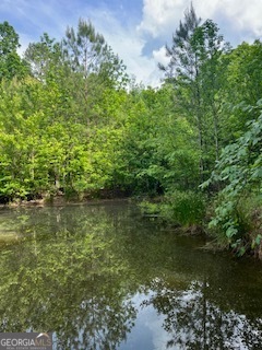 376 Paoli Road Carlton GA 30627