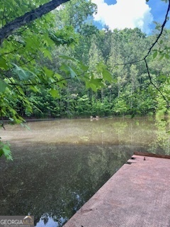 376 Paoli Road Carlton GA 30627