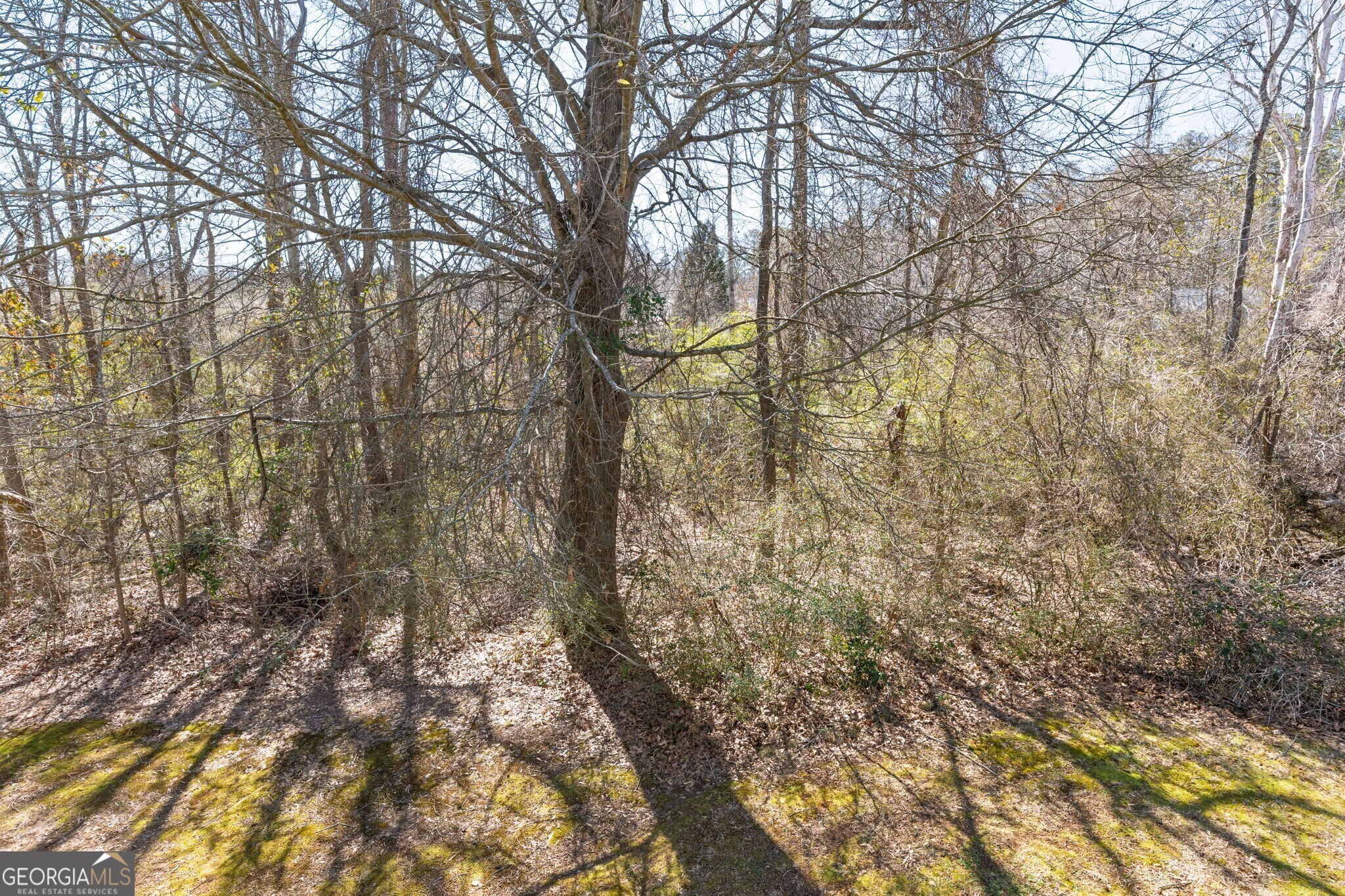 236 Shenandoah Drive Hiram GA 30141
