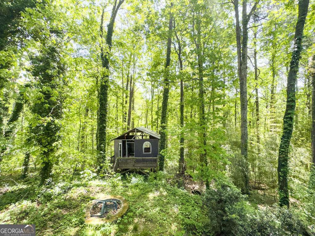 66 Stevenson Point Dallas GA 30132
