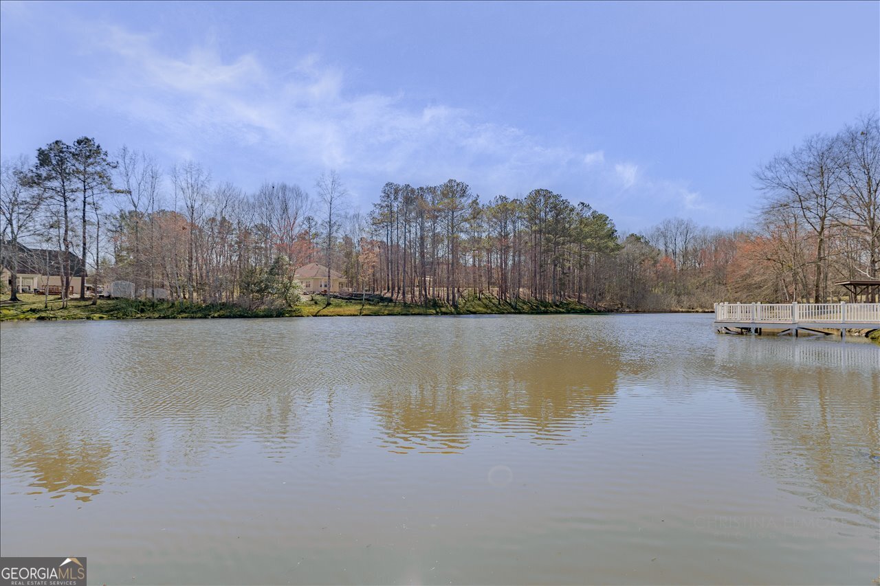 309 High Falls Road Jackson GA 30233
