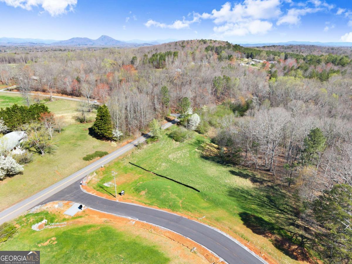 67 White Oak Court Cleveland GA 30528