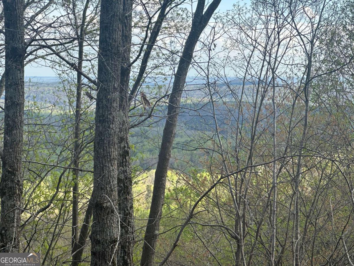 185 Alpine Drive Jasper GA 30143