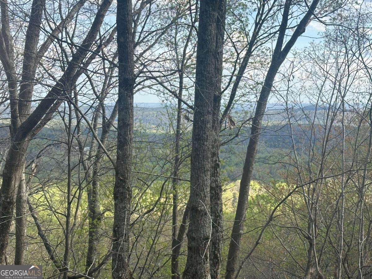185 Alpine Drive Jasper GA 30143