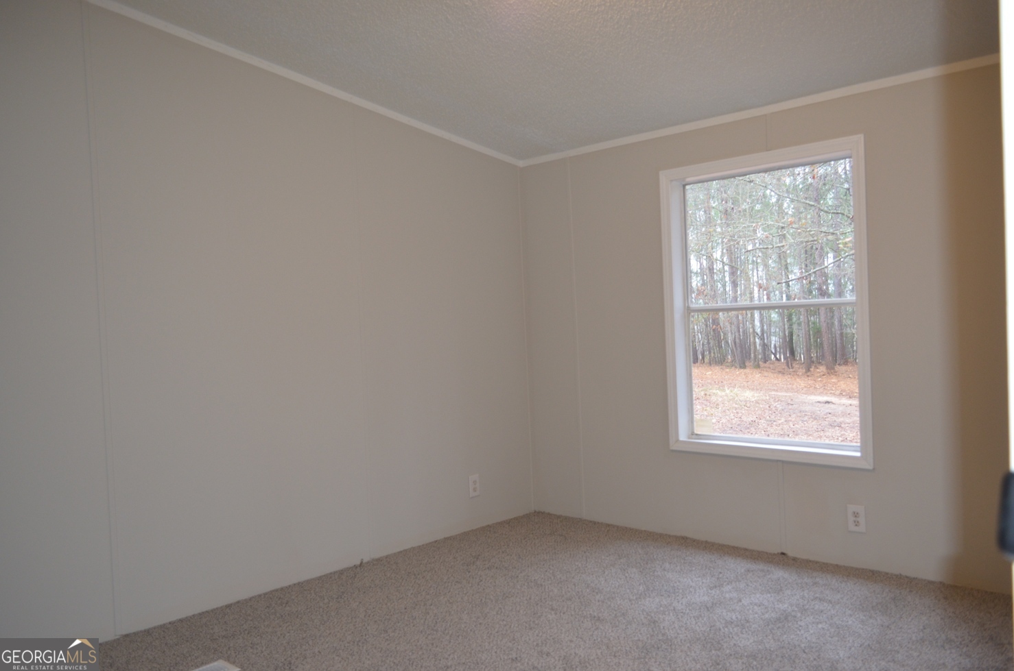 1048 Lee King Road Forsyth GA 31029