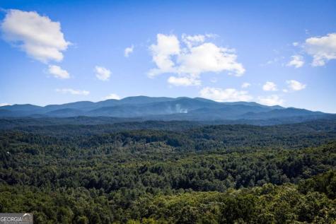 275 Rising Star Lane Mineral Bluff GA 30559
