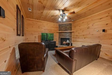 275 Rising Star Lane Mineral Bluff GA 30559