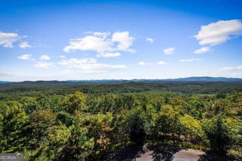 275 Rising Star Lane Mineral Bluff GA 30559
