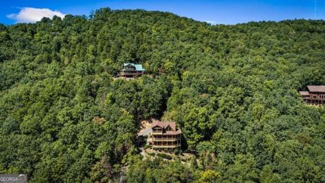 275 Rising Star Lane Mineral Bluff GA 30559