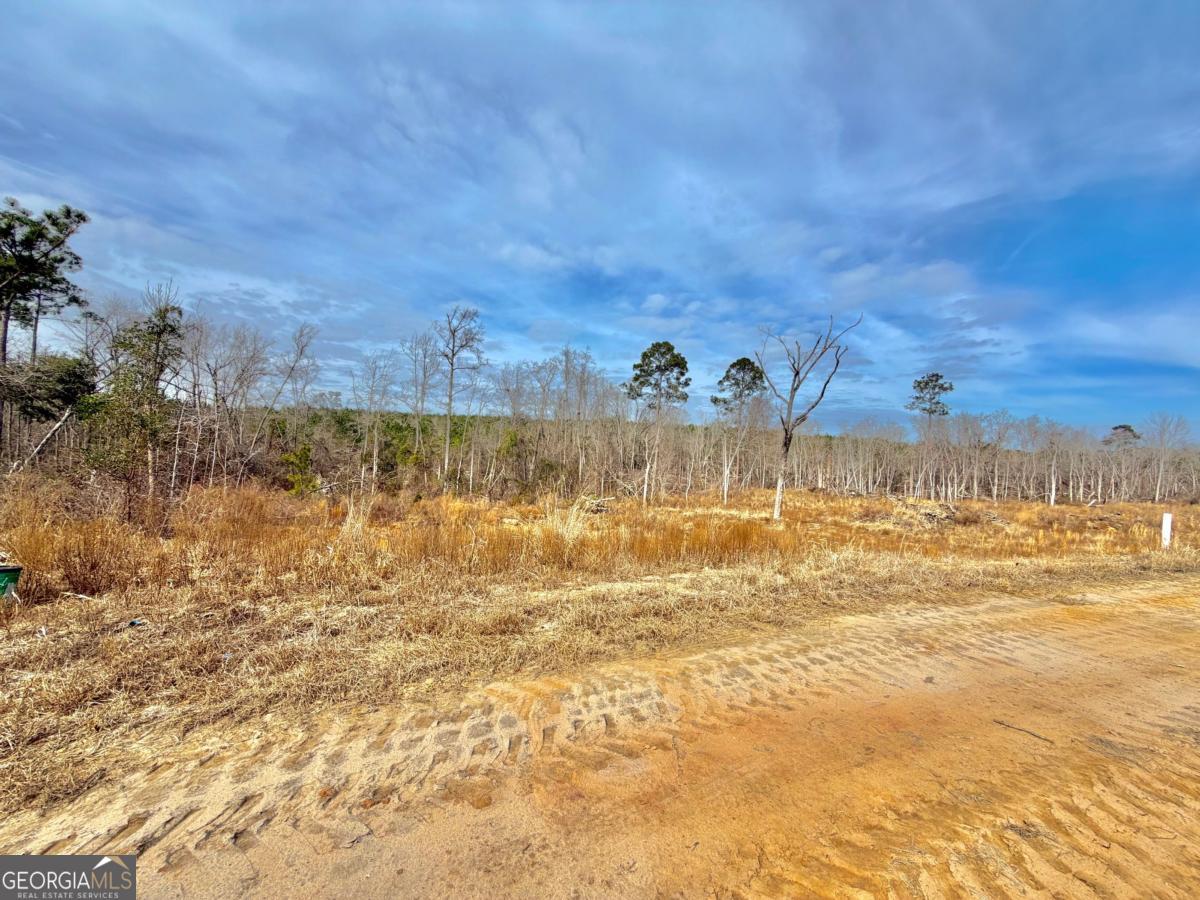 500 Grays Landing Road Uvalda GA 30473