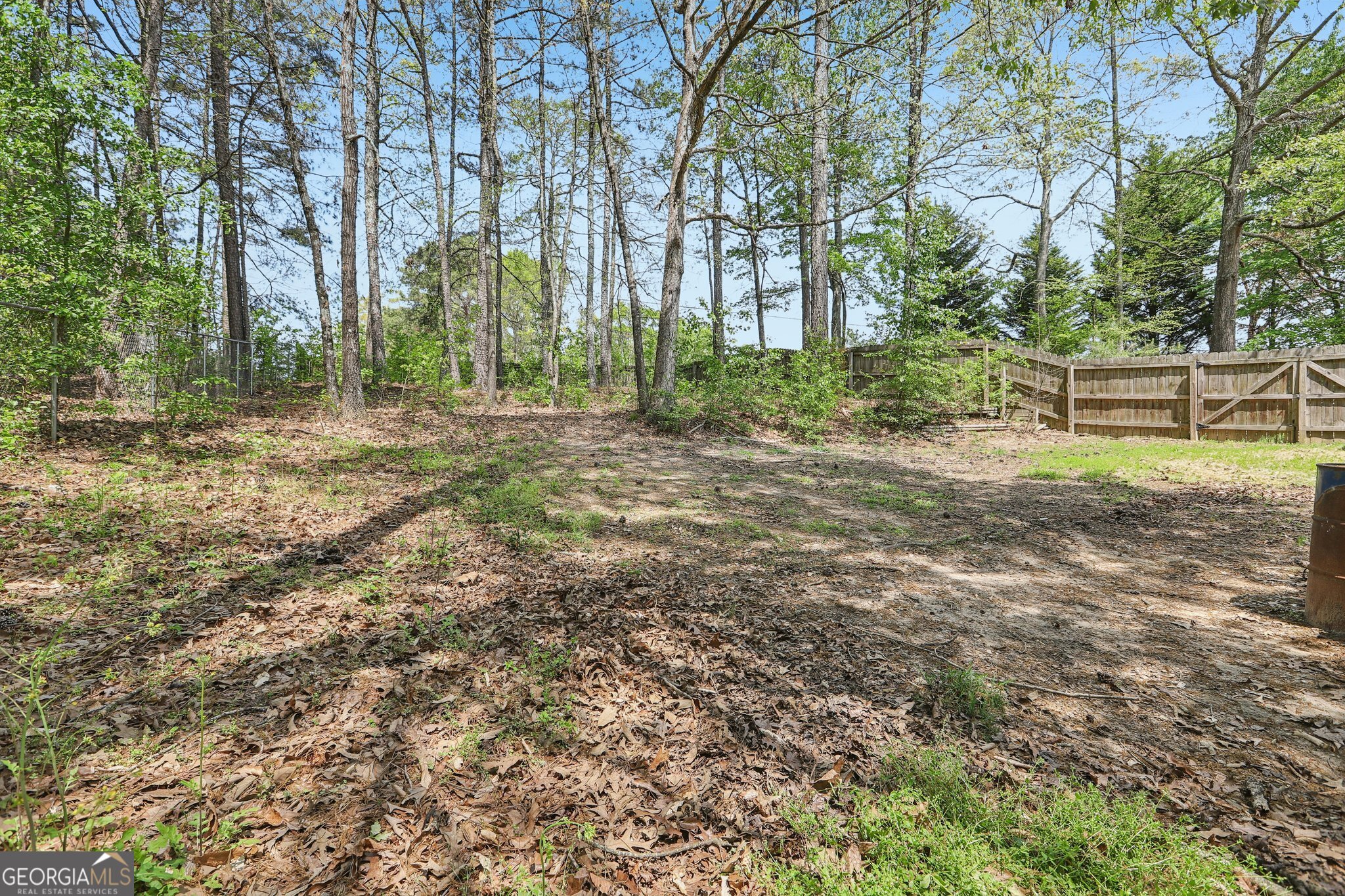 1540 Millhaven Drive Auburn GA 30011