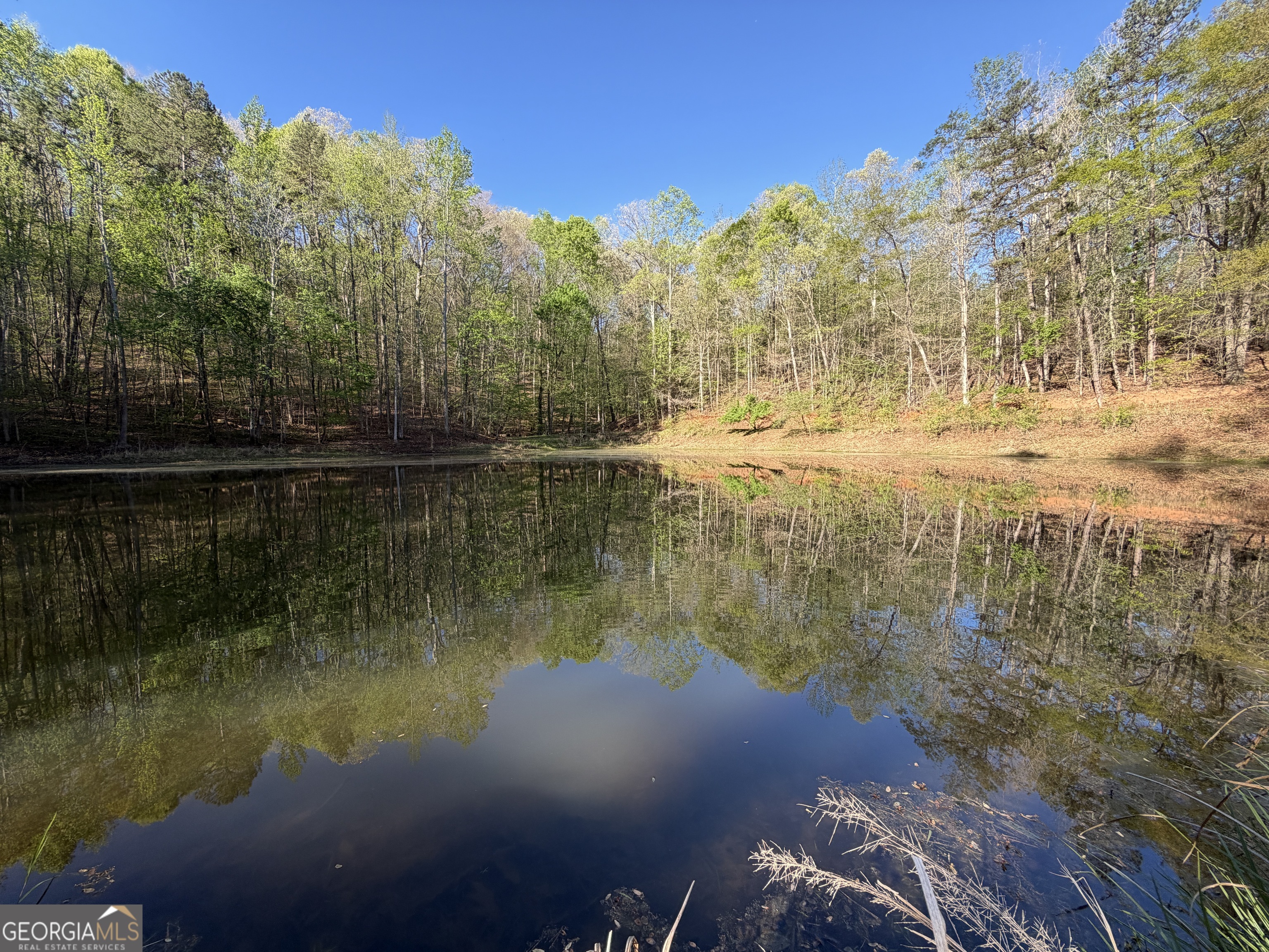 3052 Damascus Baldwin GA 30511