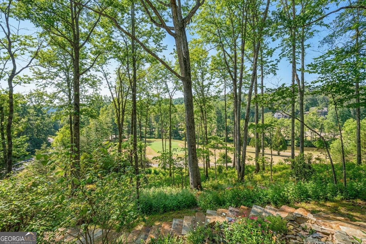 1259 Birch River Drive Dahlonega GA 30533