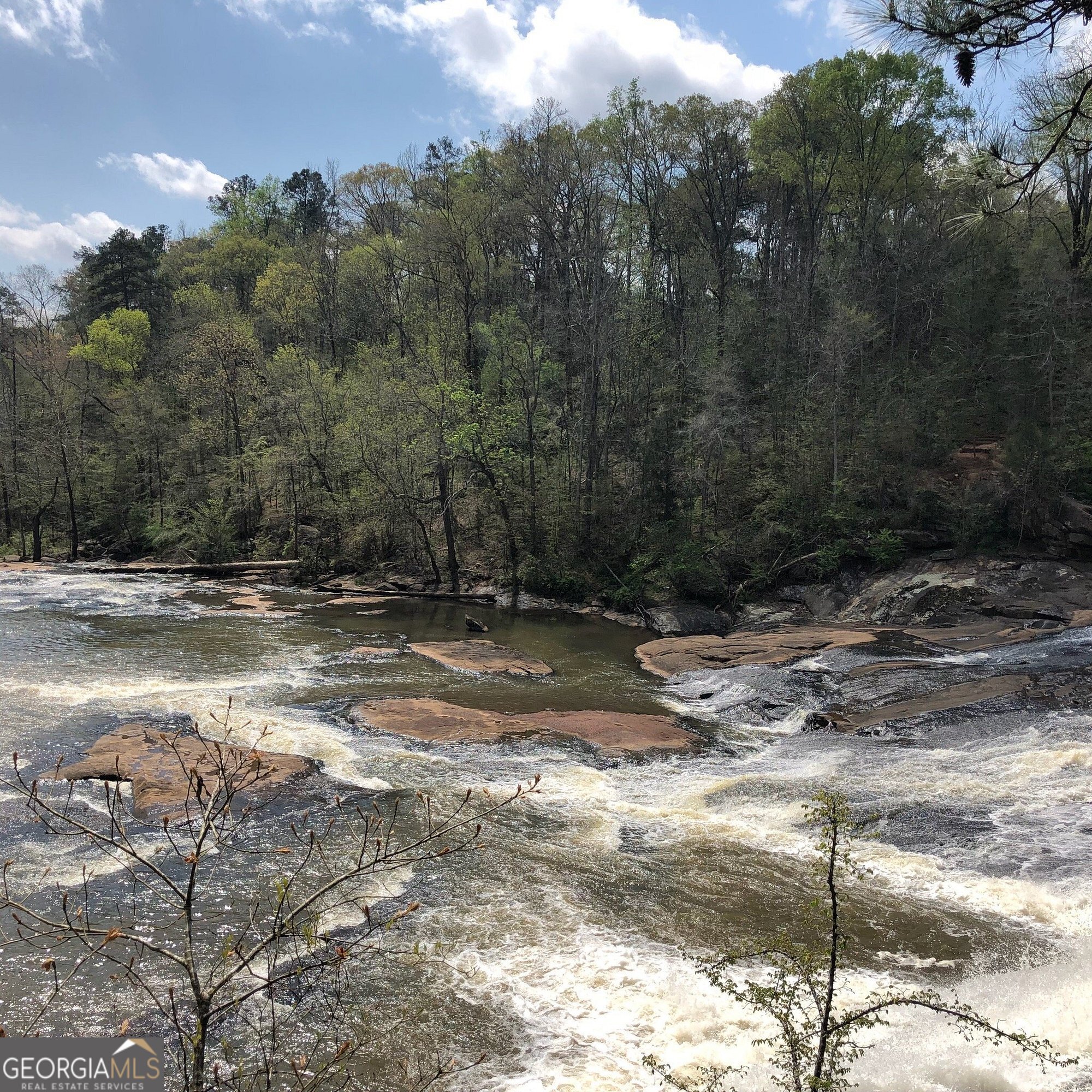 158 Rivers Edge Drive Forsyth GA 31029