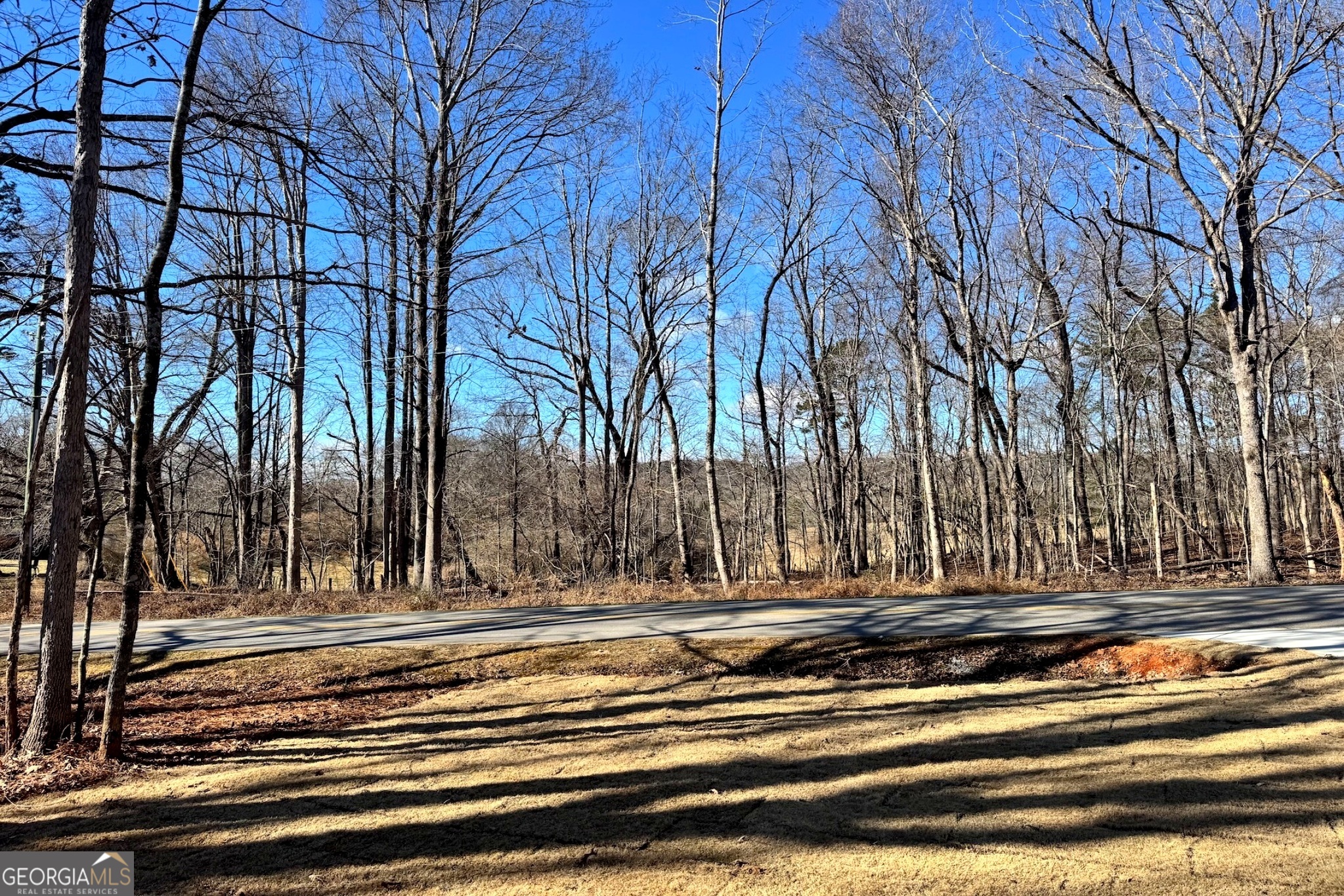 954 The Orchard Road Clarkesville GA 30523
