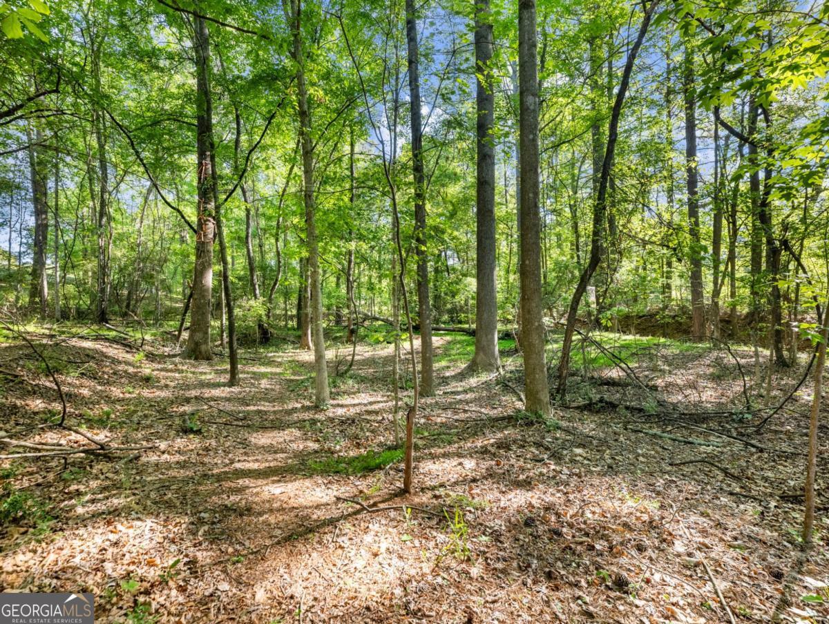 9160 Lakeside Way Gainesville GA 30506