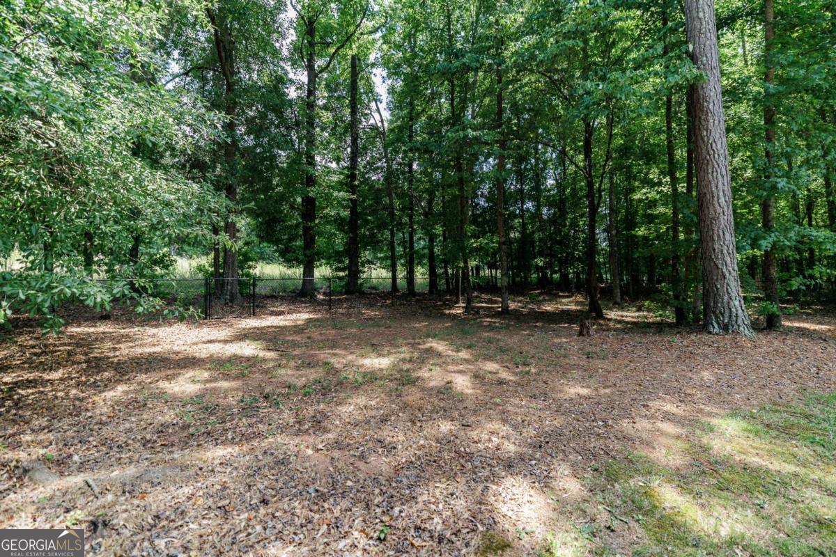 540 Lacebark Drive Athens GA 30605