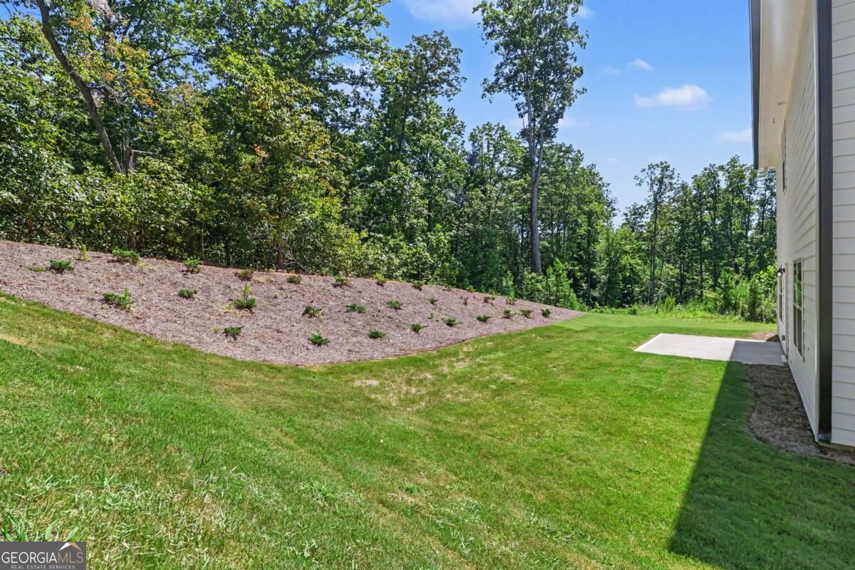 214 Thunder Valley Dawsonville GA 30534