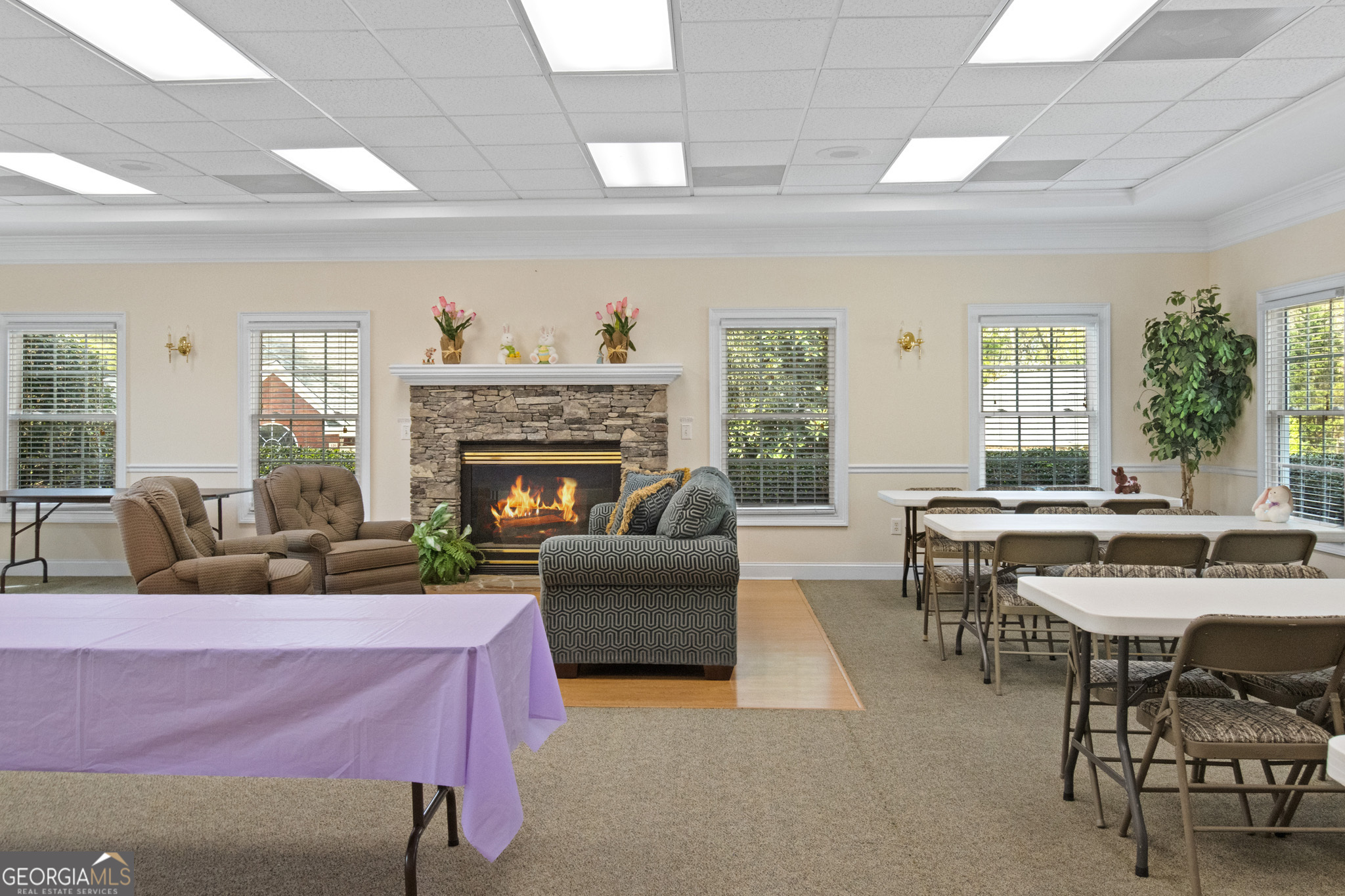 3131 Rocky Branch Road Watkinsville GA 30677