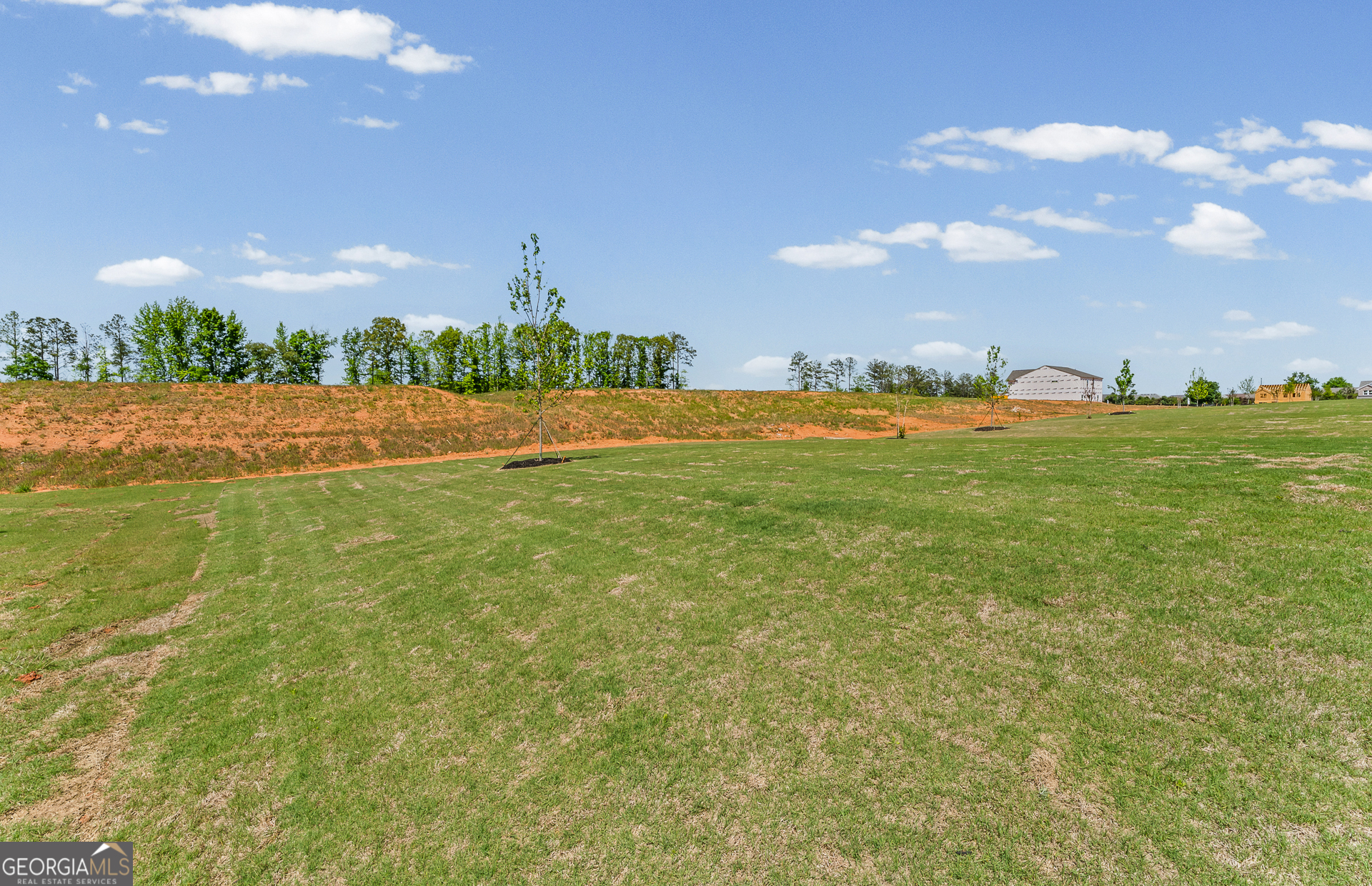636 Vidalia Park Way Mcdonough GA 30252