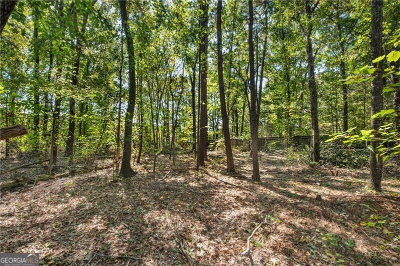 4645 Walt Court Cumming GA 30028