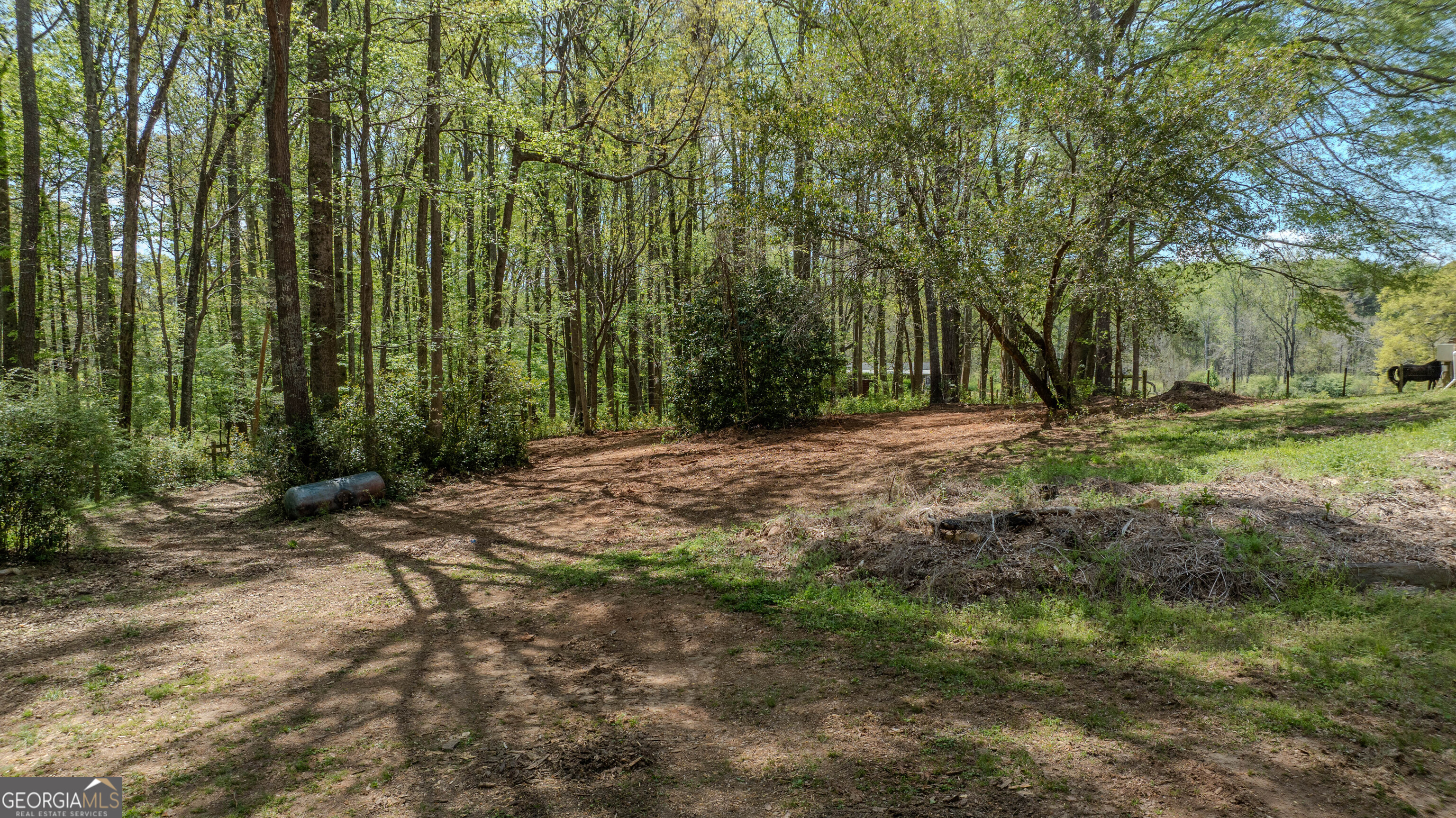 1017 Bruce Jackson Road Newnan GA 30263