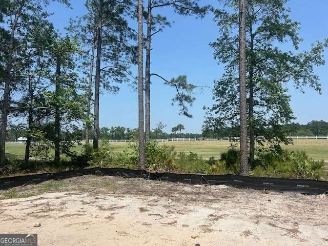 105 Lone Pine Court Waverly GA 31565