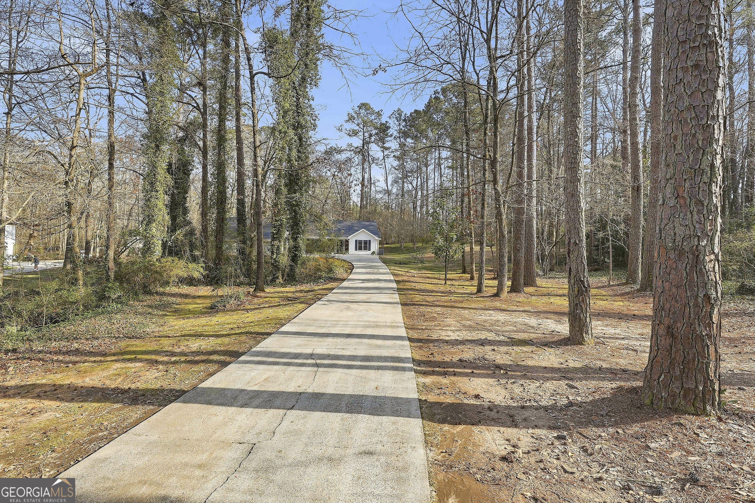 135 Spring Forest Way Sharpsburg GA 30277