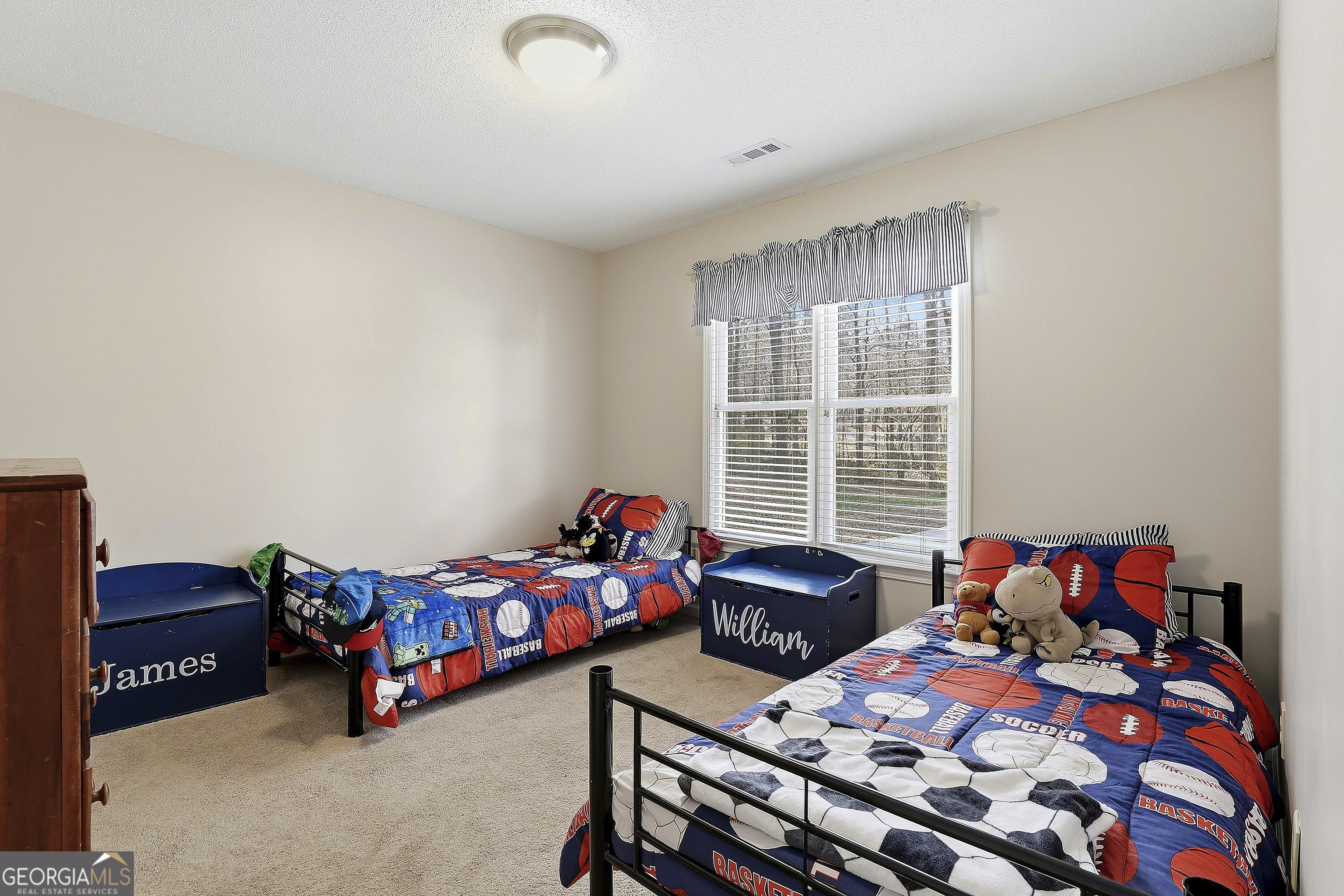 135 Spring Forest Way Sharpsburg GA 30277