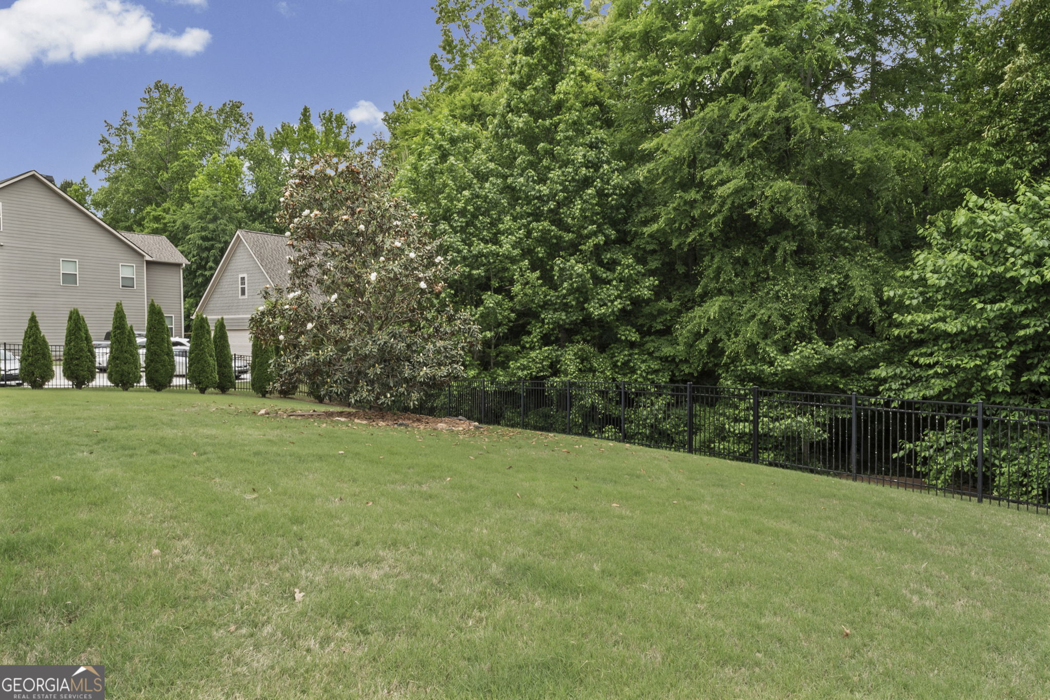 196 Sunny Brook Terrace Newnan GA 30265