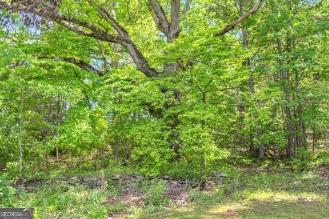 5595 Cove Road Jasper GA 30143