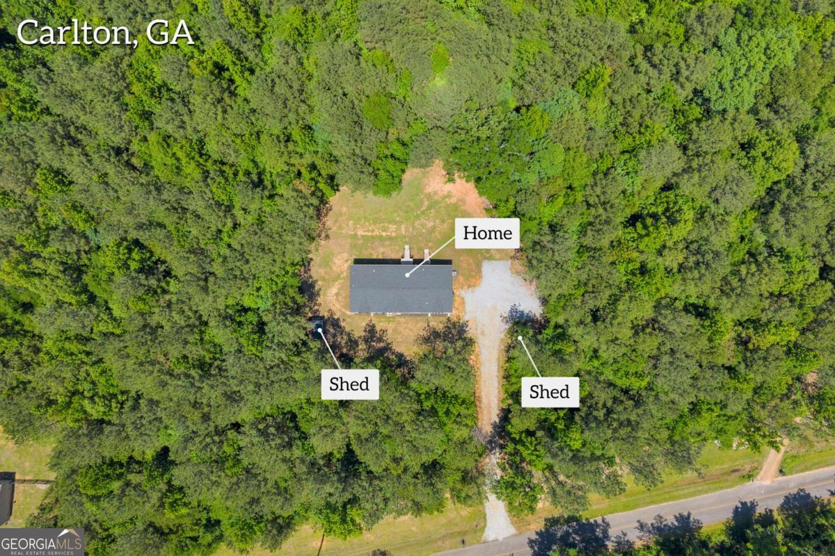 295 Berkeley Road Carlton GA 30627