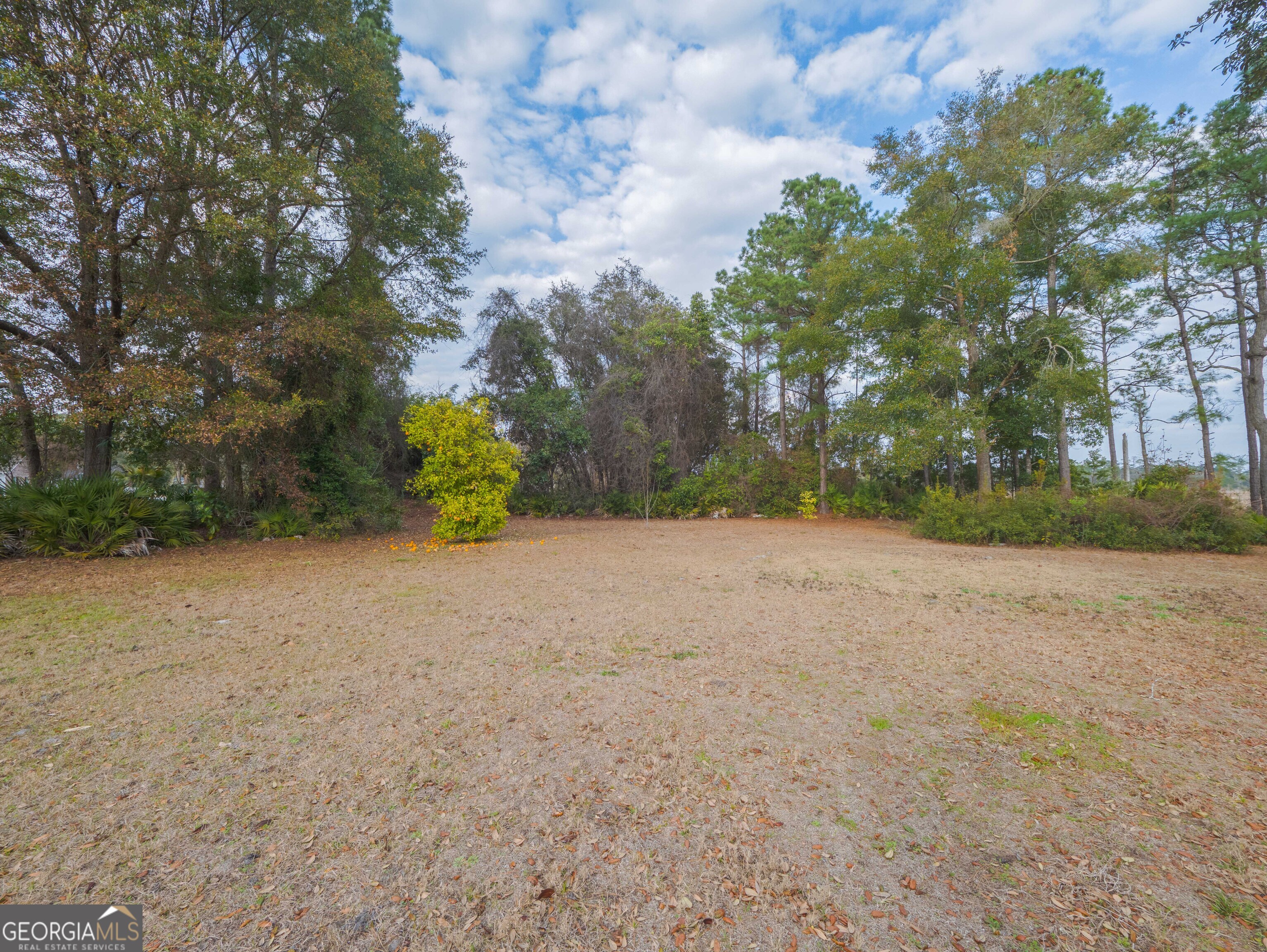77 Cinnamon Teal Drive Woodbine GA 31569