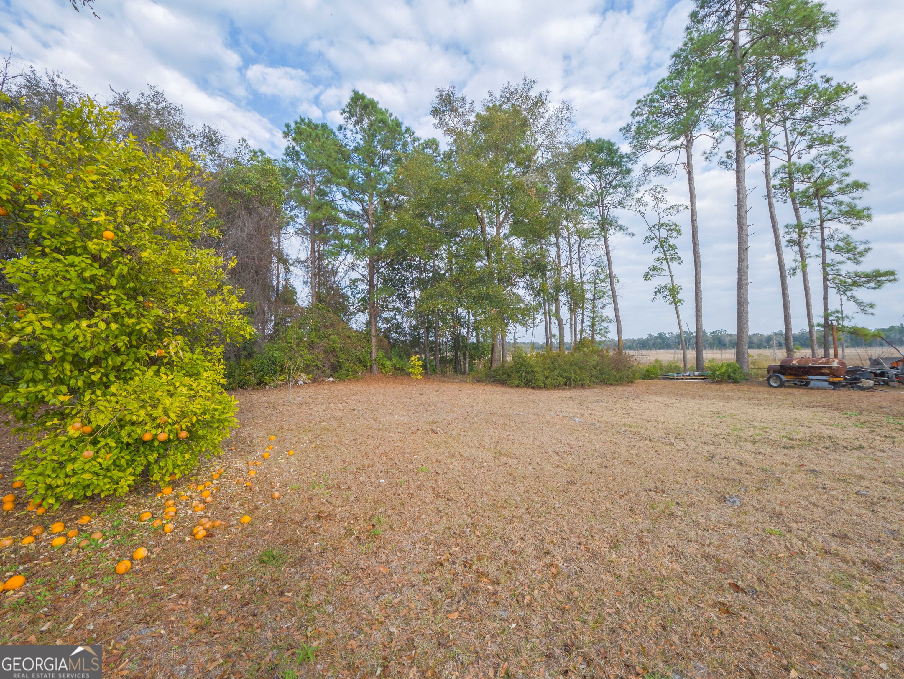77 Cinnamon Teal Drive Woodbine GA 31569