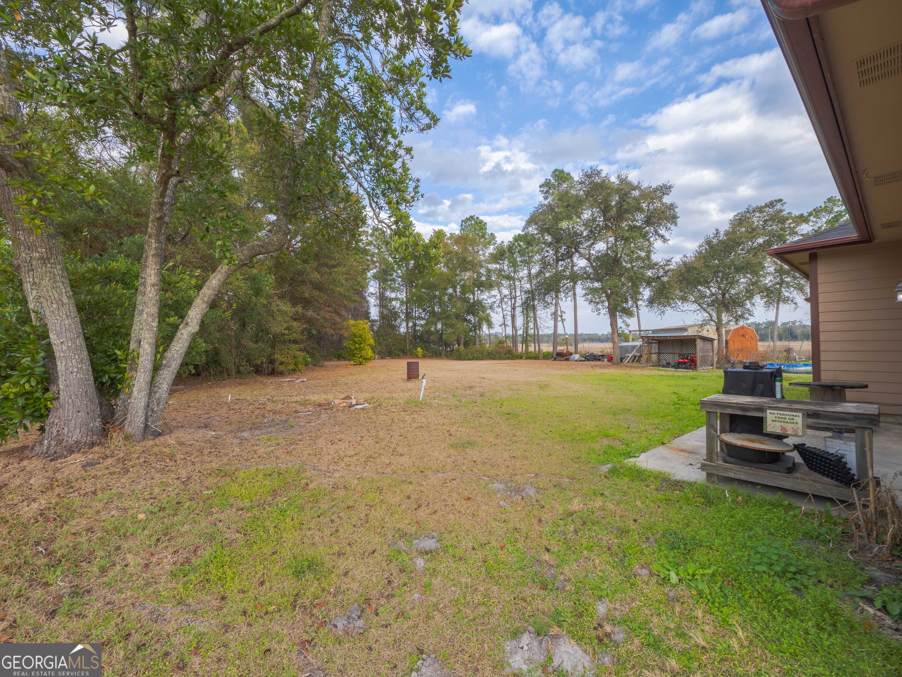 77 Cinnamon Teal Drive Woodbine GA 31569